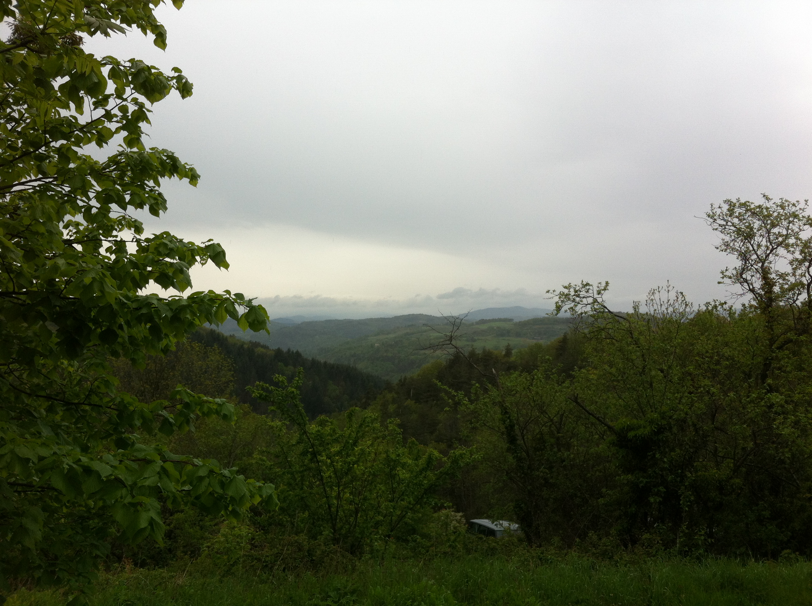 IMG_2014