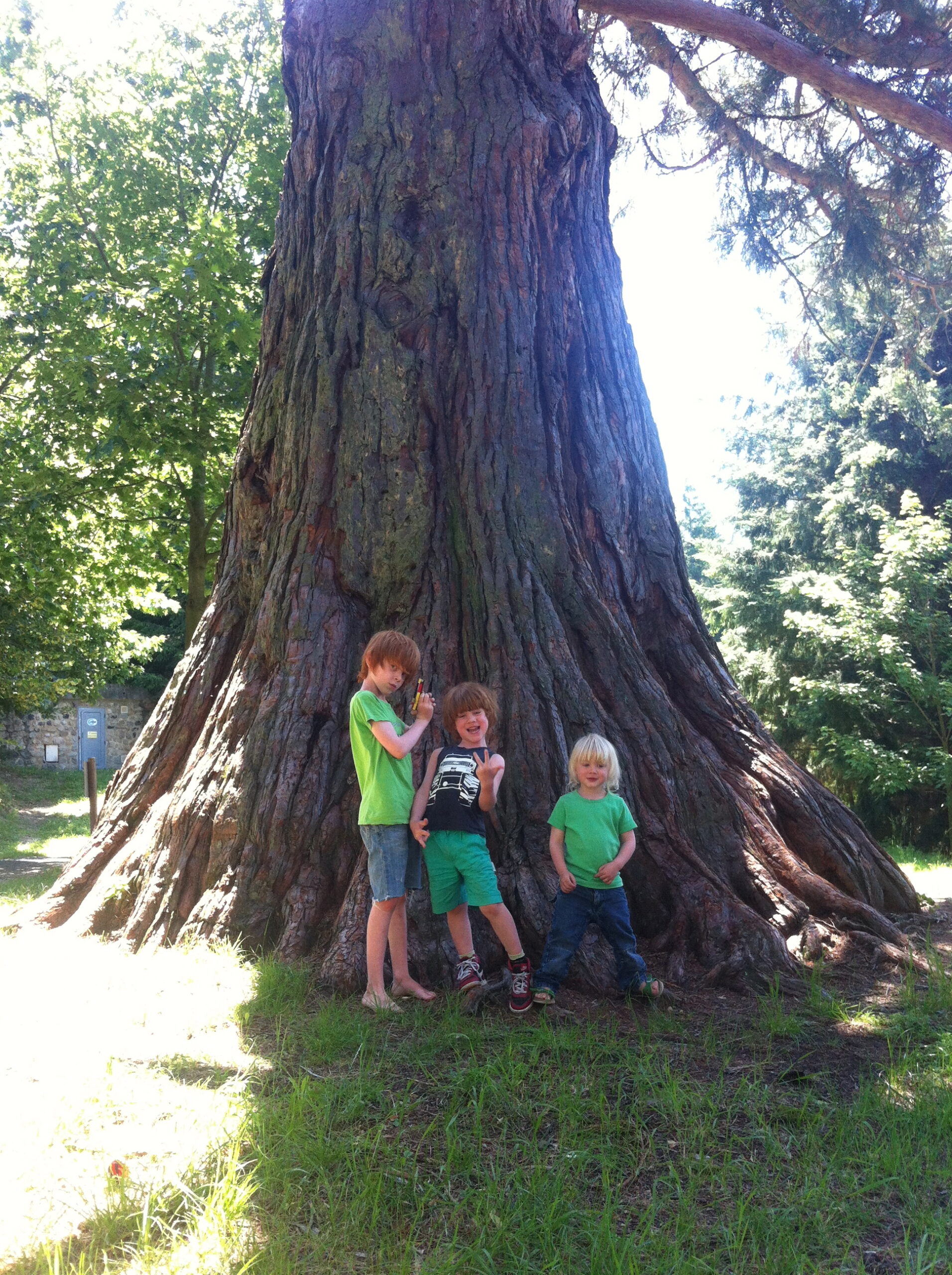 Het leven zoals het is, on the road.