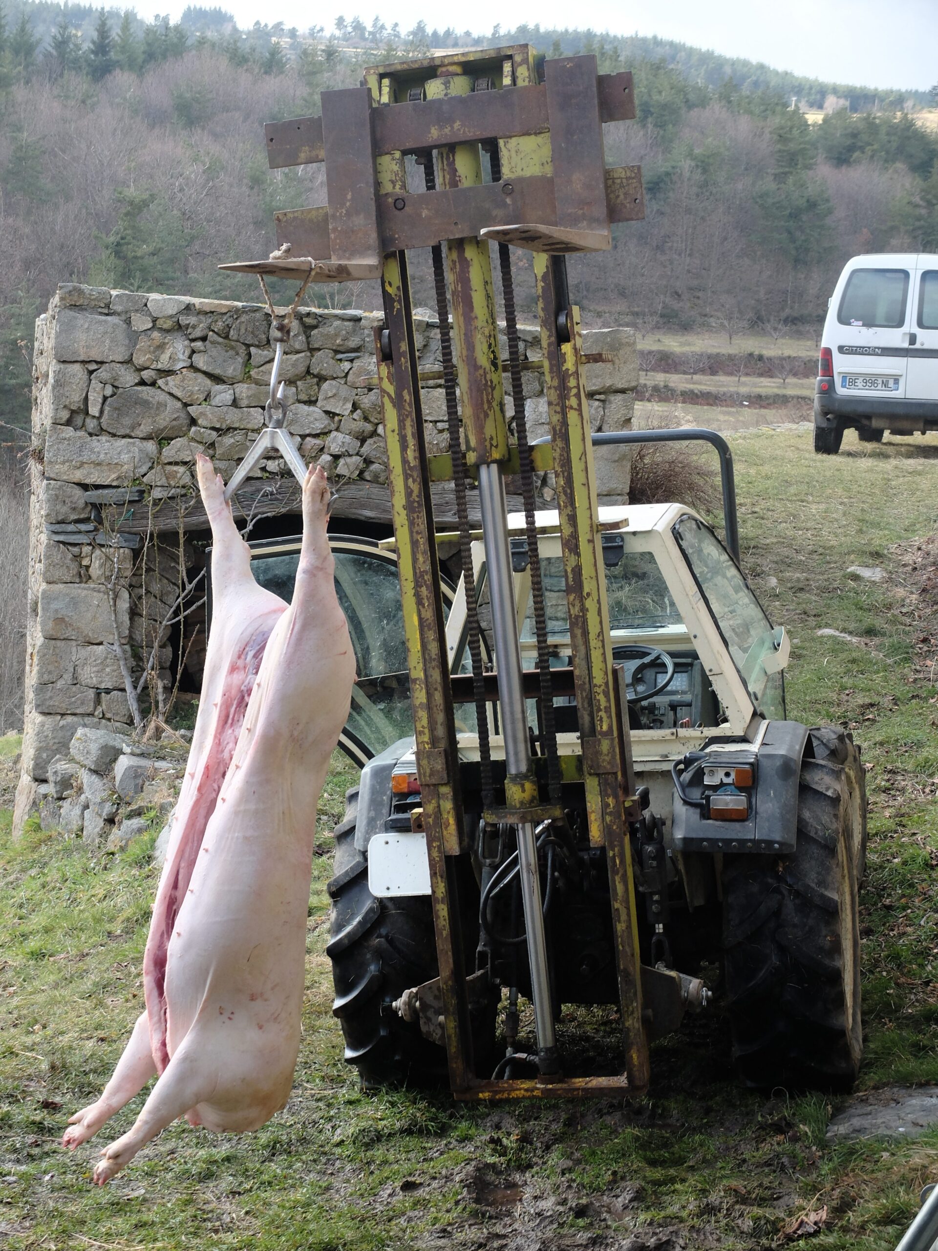 Vlees, het kan ook anders