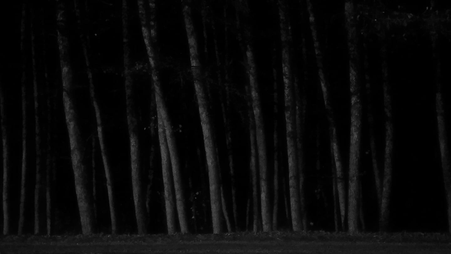 HOME IS WHEREVER I’M WITH YOU