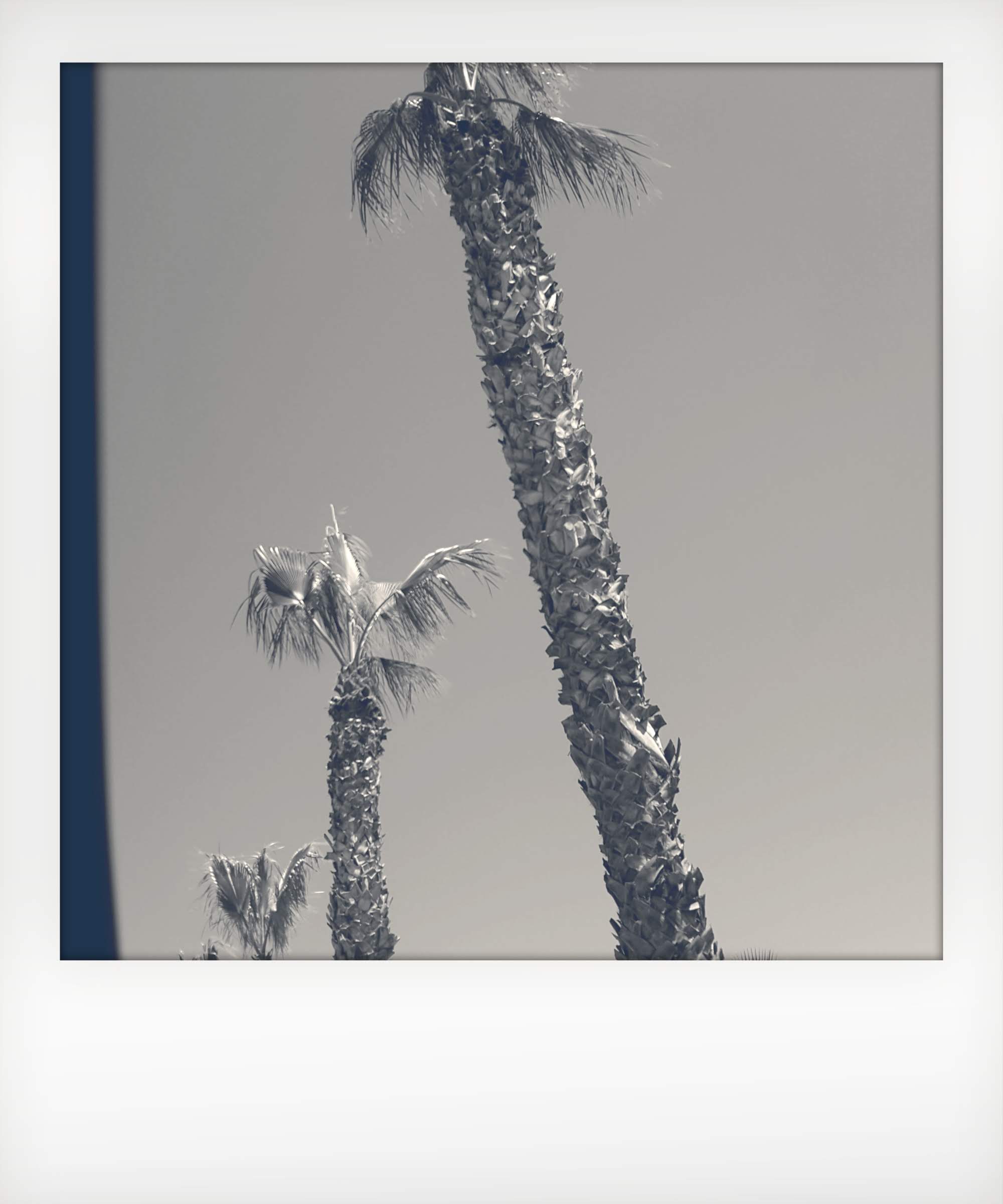 quatre vingt quinze.