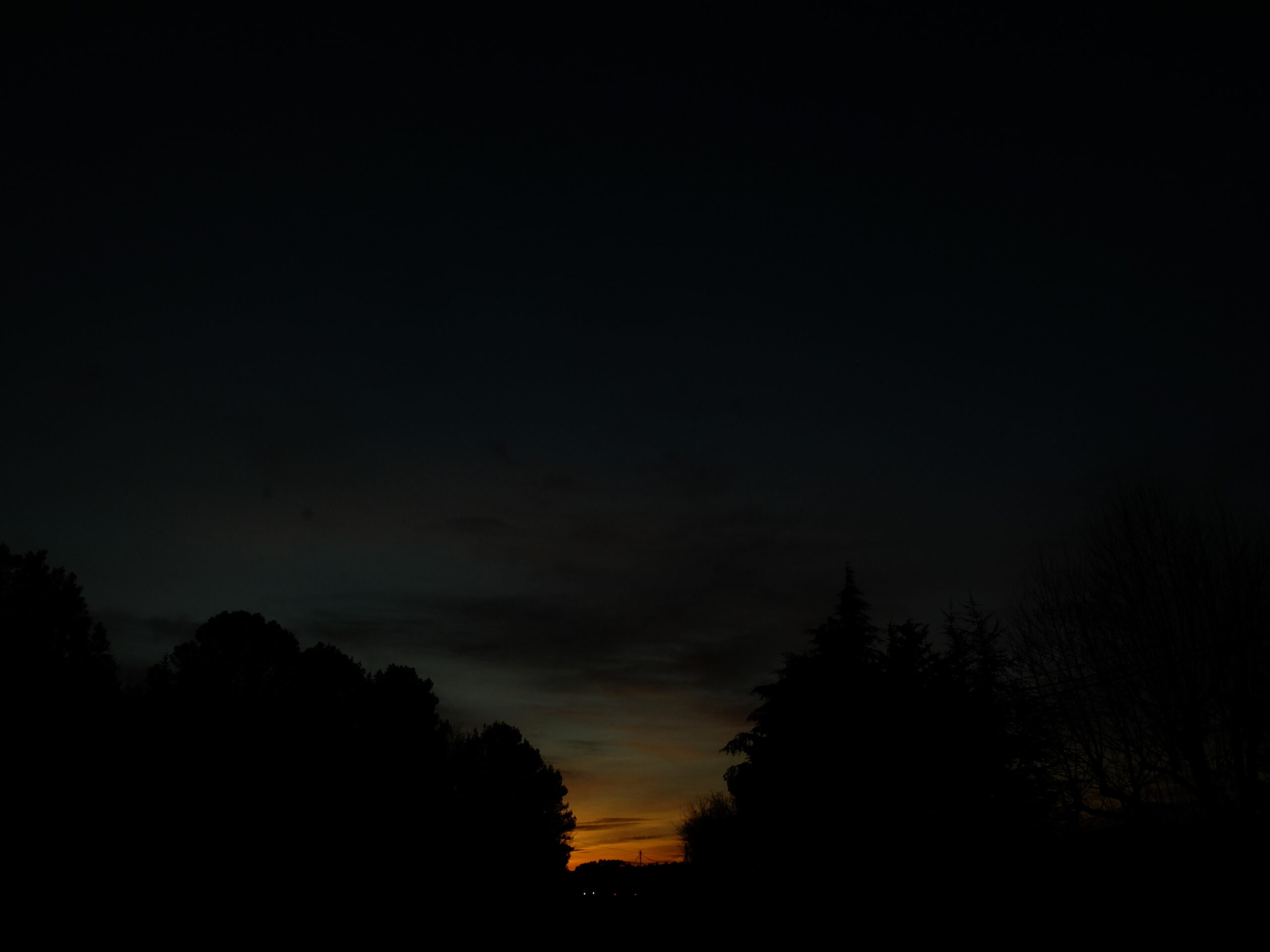 Gestolde liefdesverklaring.