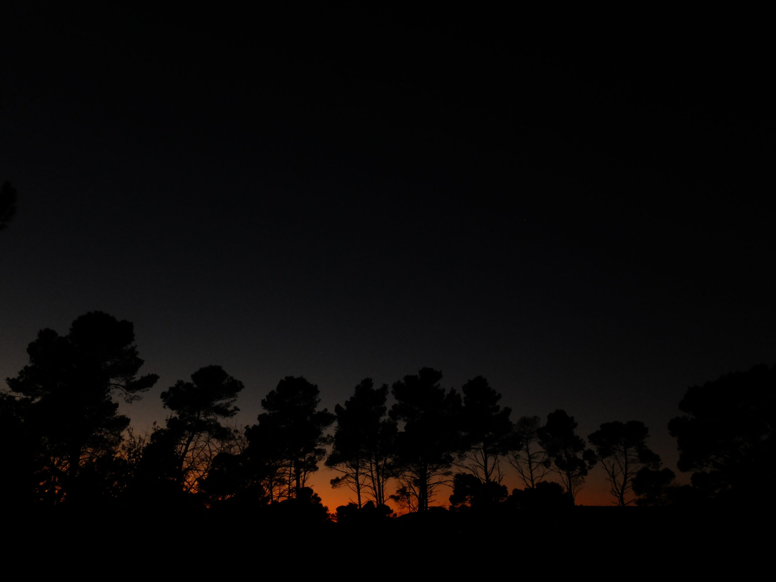 L’Hiver. Provence.
