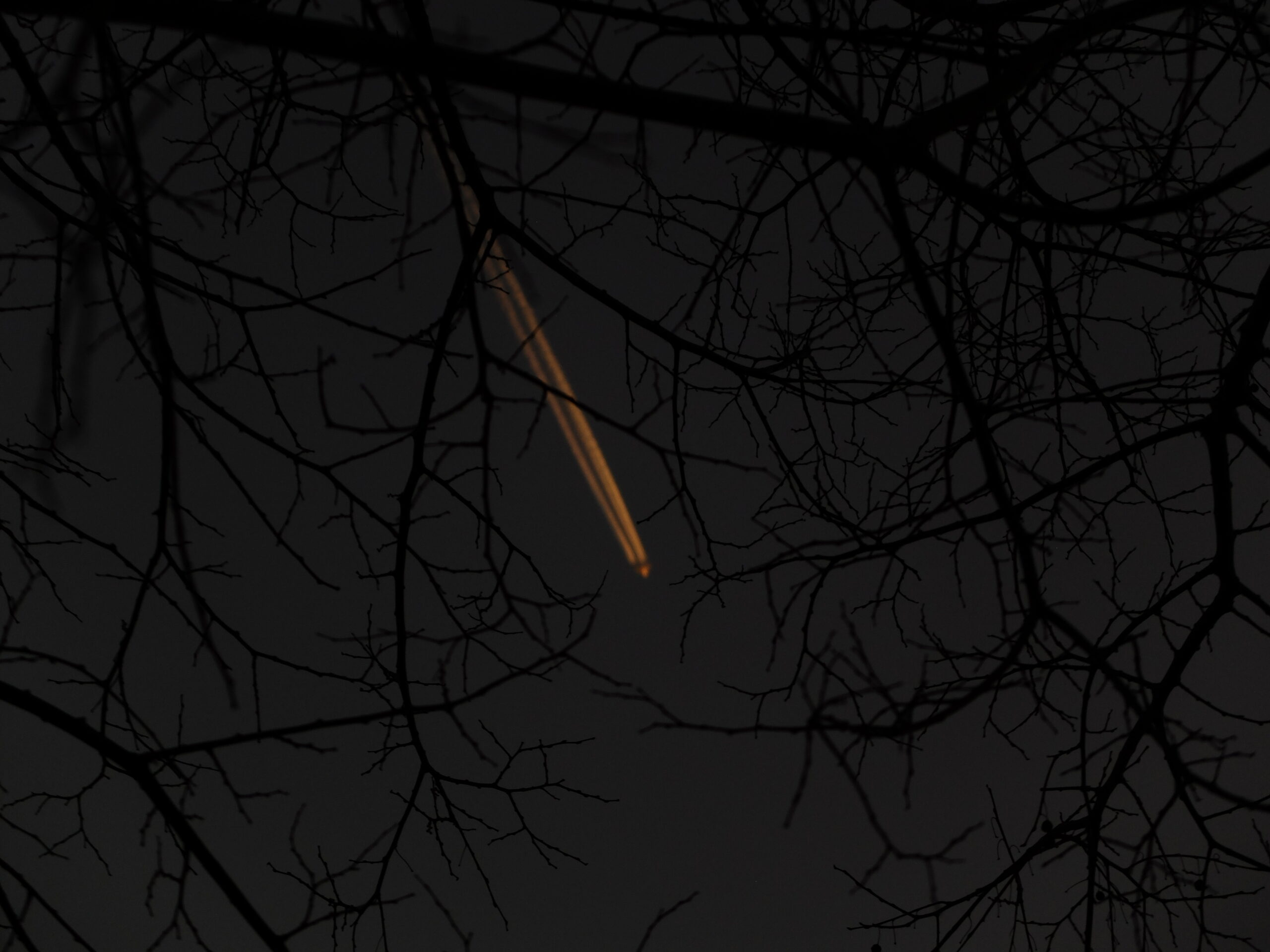 L’Hiver. Provence.