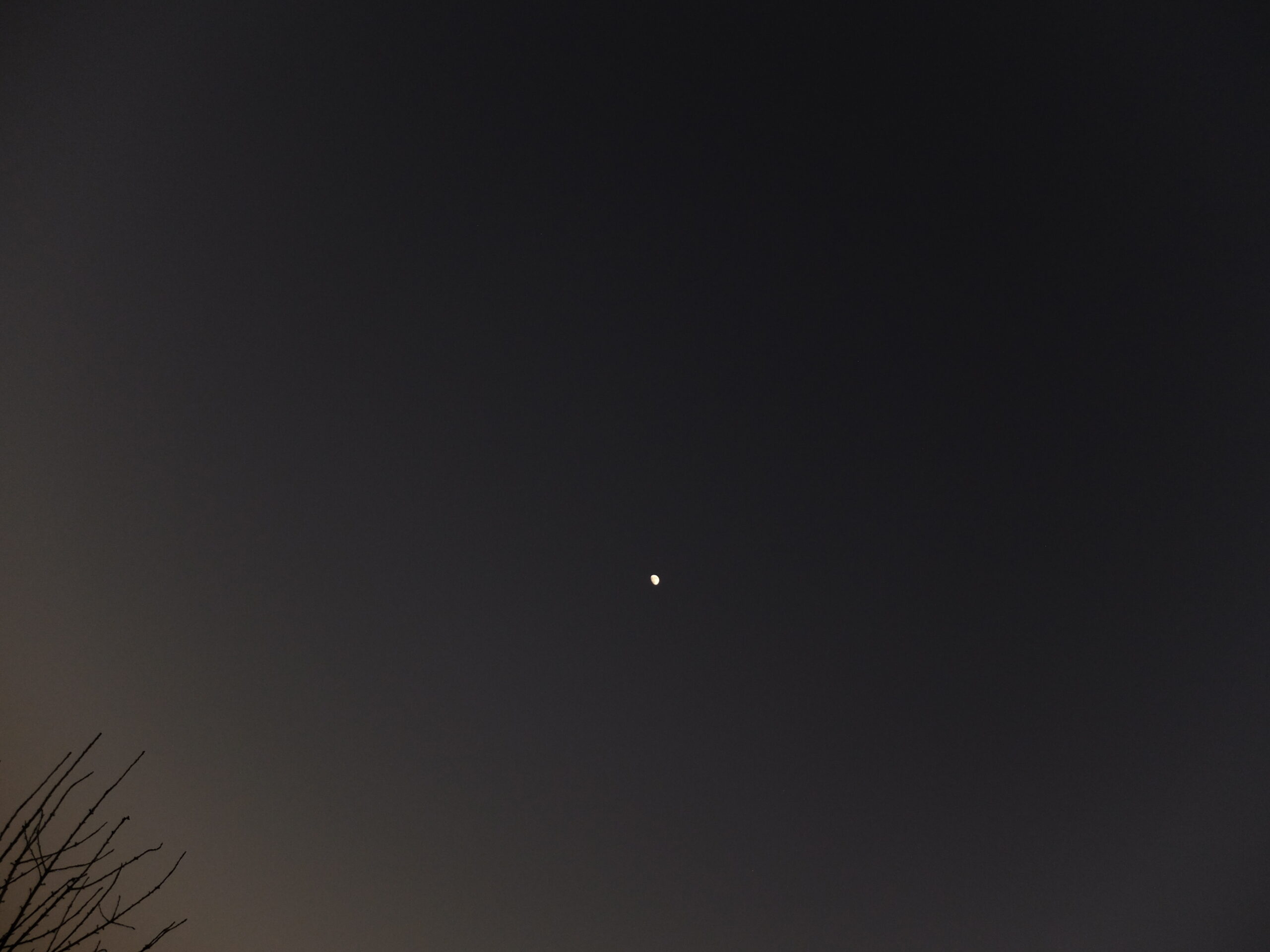 L’Hiver. Provence.