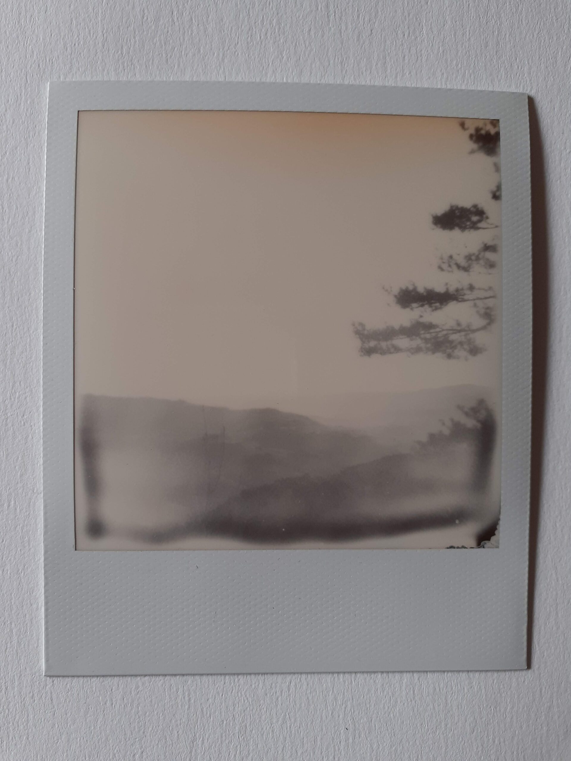 Nozières.2017.polaroidLOVE.