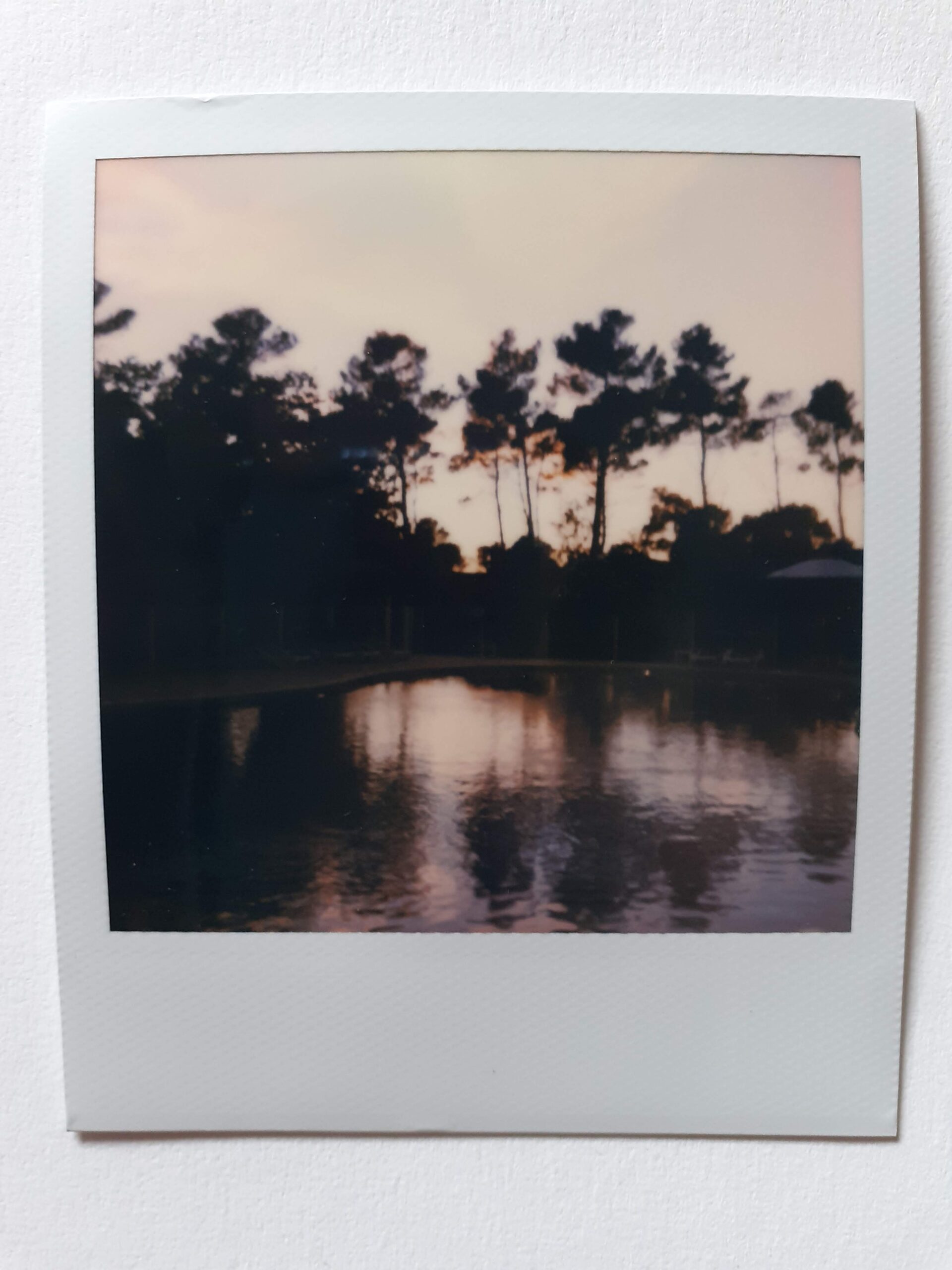 Nans les Pins. 2019. polaroidLOVE