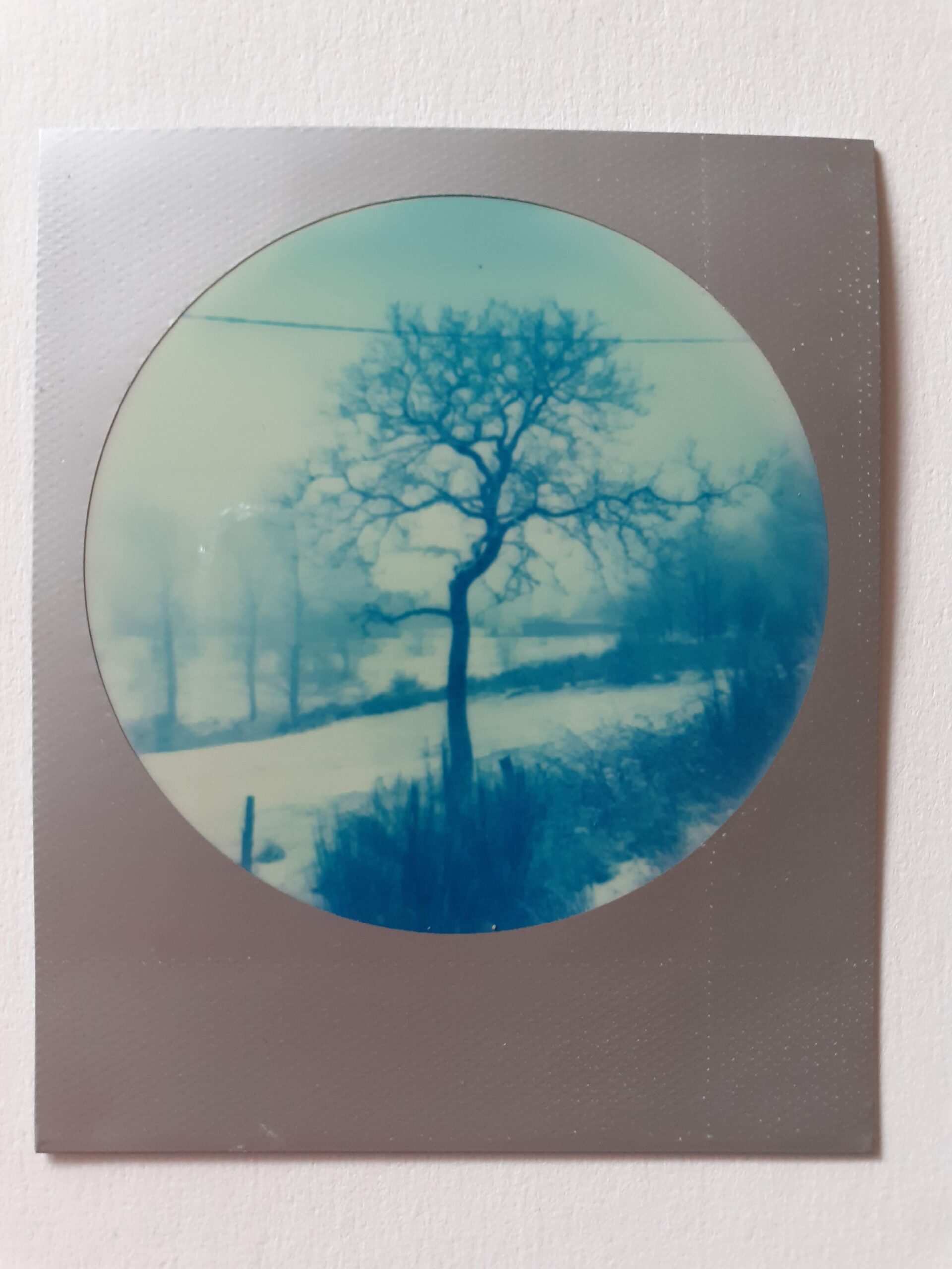 2016. Nozières. polaroidLOVE.