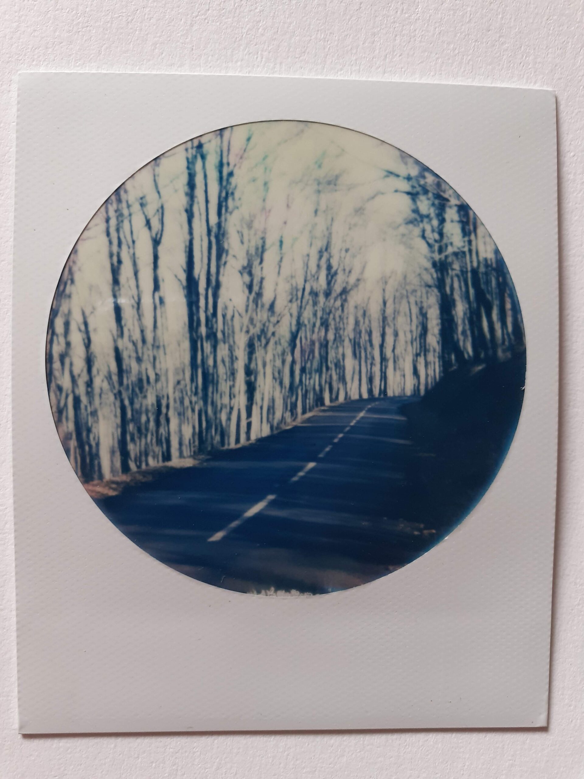 2016. Nozières. polaroidLOVE.