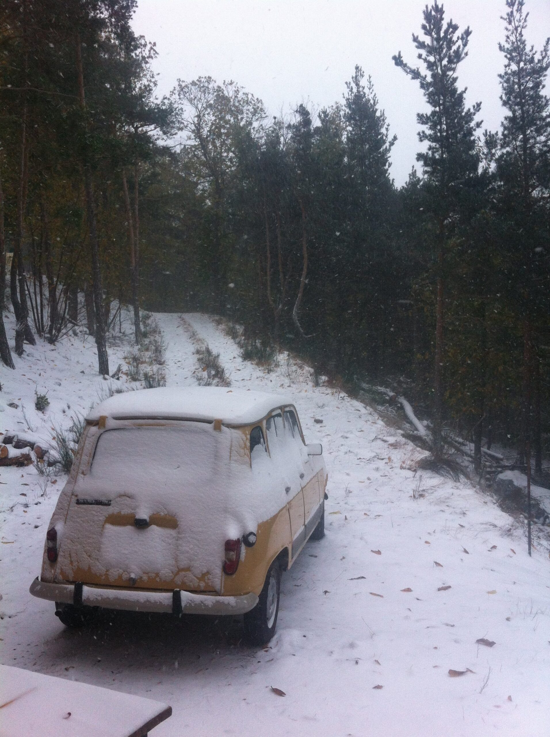 Sneeuwpret en psychedelische paddenstoelen