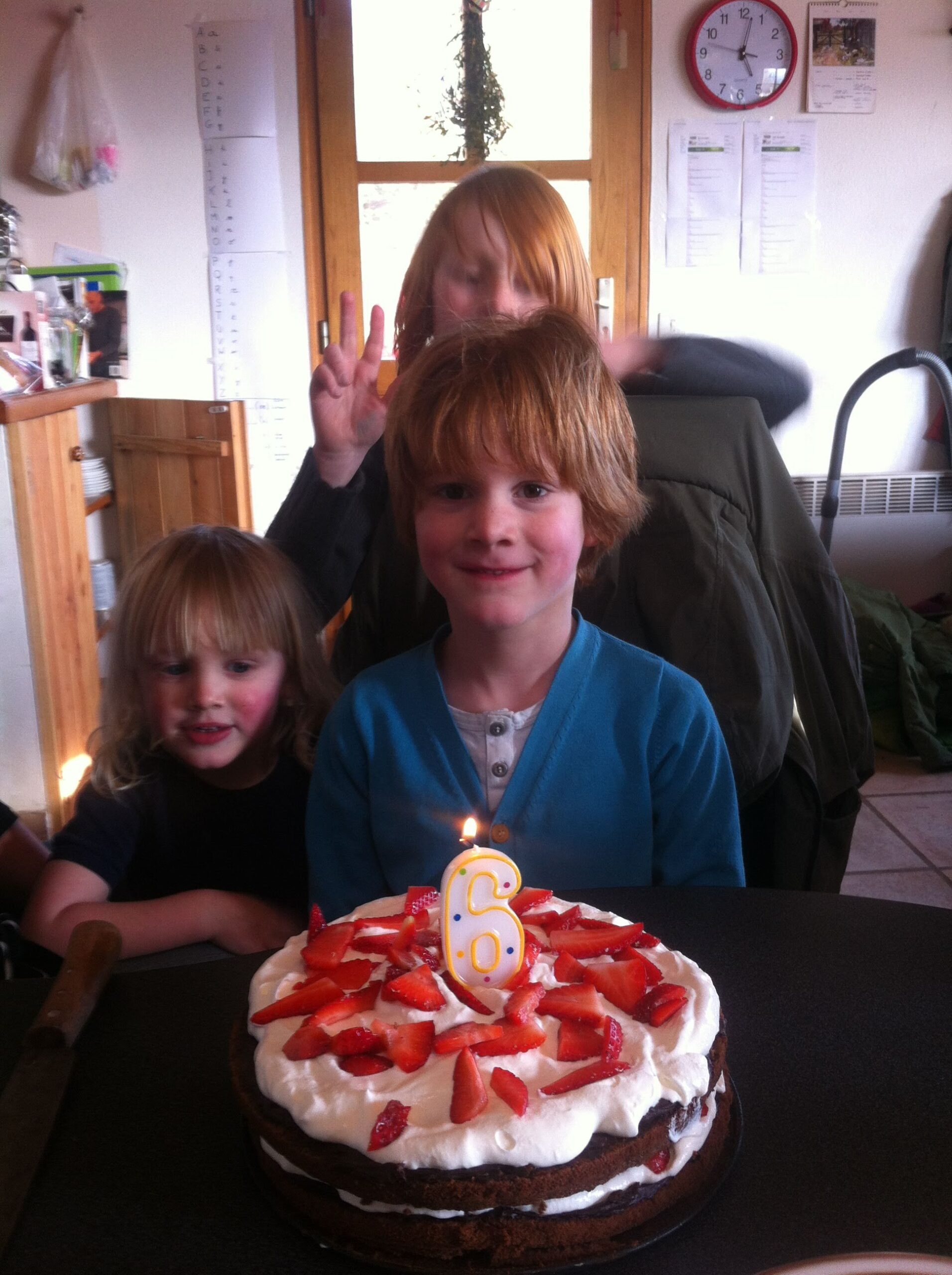 Verjaardagdrama’s en katten braakballen