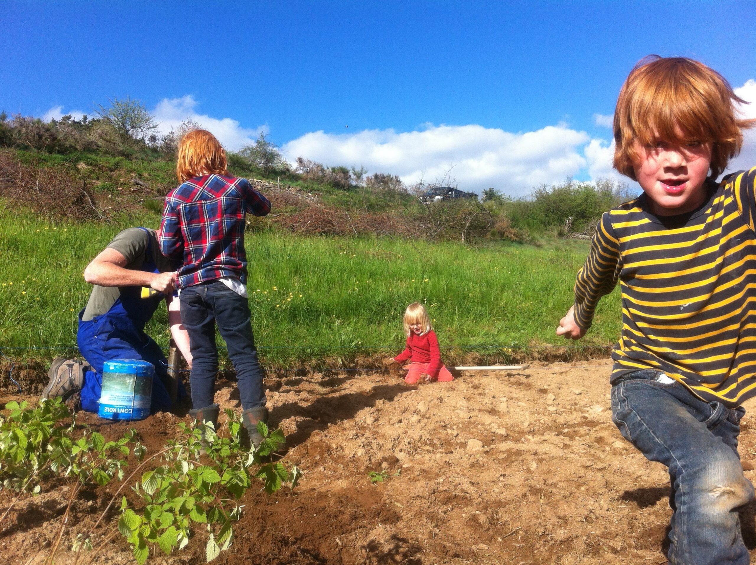 Lente bedrijvigheid en Pergolesi