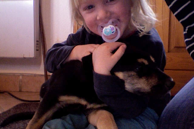 Op de barricades en tomatenzaadjes